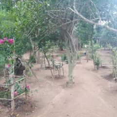 Отель Yala Wild House пляж