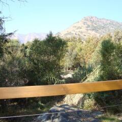 Sequoia Riverfront Cabins In Three Rivers United States Of