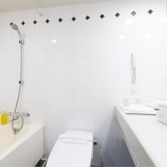 Отель Villa Fontaine Shiodome Токио фото 2