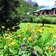 Tea Bush Hotel - Nuwara Eliya фото 13
