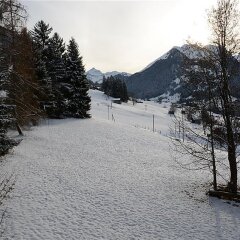 Отель Les Erables, Chalet спа