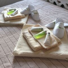 Отель JR Flat Rental Чехия, Пльзень - отзывы, цены и фото номеров - забронировать отель JR Flat Rental онлайн спа