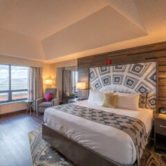 Отель The Blackwell Inn and Pfahl Conference Center США, Колумбус - отзывы, цены и фото номеров - забронировать отель The Blackwell Inn and Pfahl Conference Center онлайн комната для гостей фото 5