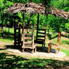 Отель Lavish Eco Jungle детские мероприятия