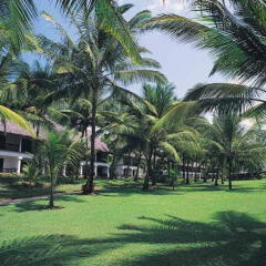 Отель Voyager Beach Resort фото 5