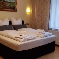 Отель Villa Lalee Германия, Дрезден - отзывы, цены и фото номеров - забронировать отель Villa Lalee онлайн фото 31