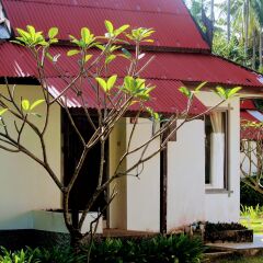 Отель Lanta Veranda Resort Таиланд, Ланта - 1 отзыв об отеле, цены и фото номеров - забронировать отель Lanta Veranda Resort онлайн фото 10