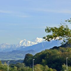 Отель Mercure Annemasse Porte De Genève Франция, Гайар - отзывы, цены и фото номеров - забронировать отель Mercure Annemasse Porte De Genève онлайн фото 5