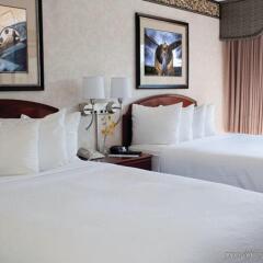 Отель Holiday Inn Express & Suites Bloomington - Mpls Arpt Area West Блумингтон комната для гостей фото 2