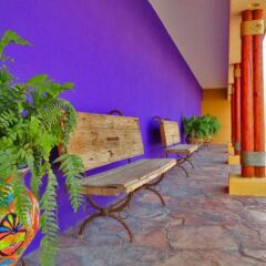 Отель Los Patios Hotel Мексика, Кабо-Сан-Лукас - отзывы, цены и фото номеров - забронировать отель Los Patios Hotel онлайн