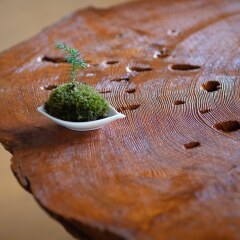 Отель Yakushima Cottage Morino Fairy Япония, Якусима - отзывы, цены и фото номеров - забронировать отель Yakushima Cottage Morino Fairy онлайн питание фото 2