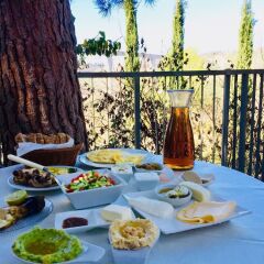 Отель Tur Sinai Organic Farm Resort Иерусалим питание
