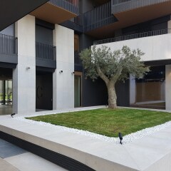 Отель Viale Severino Boezio 20 Apartament