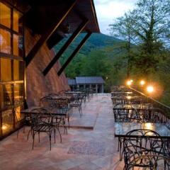 Melnitsa Mini-Hotel in Gagra, Abkhazia from 81$, photos, reviews - zenhotels.com balcony