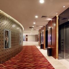 Grand Skylight International Hotel Shenzhen Guanlan Avenue сауна