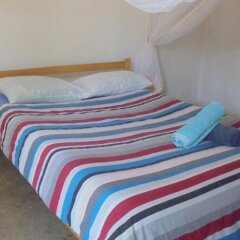Lusaka Backpackers in Lusaka, Zambia from 33$, photos, reviews - zenhotels.com guestroom