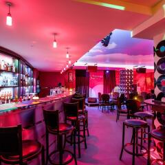 Vitosha Park Hotel гостиничный бар