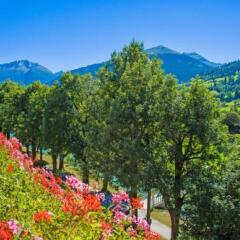 Отель Carinthia Австрия, Гастайнерталь - отзывы, цены и фото номеров - забронировать отель Carinthia онлайн фото 6