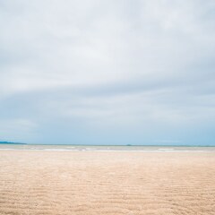 Rodina Beach Hotel пляж фото 2