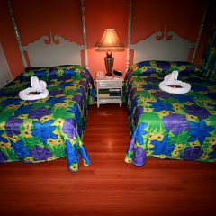 Отель The Wexford Hotel Montego Bay Ямайка, Монтего-Бей - отзывы, цены и фото номеров - забронировать отель The Wexford Hotel Montego Bay онлайн детские мероприятия