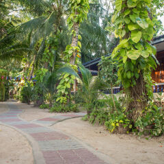 Отель Koh Tao Tropicana Resort Таиланд, Остров Тау - отзывы, цены и фото номеров - забронировать отель Koh Tao Tropicana Resort онлайн фото 8