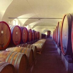 Отель Agriturismo Dominio di Bagnoli фото 2