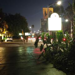 Отель Highland Gardens Hotel США, Лос-Анджелес - отзывы, цены и фото номеров - забронировать отель Highland Gardens Hotel онлайн фото 2