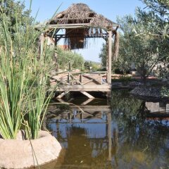 Vinocasa Hotel Турция, Дикили - отзывы, цены и фото номеров - забронировать отель Vinocasa Hotel онлайн фото 6