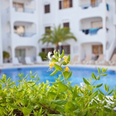 Отель Apartamentos Europa бассейн фото 3