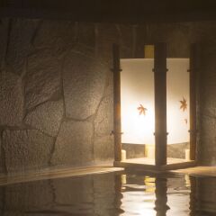 Отель Dormy Inn Toyama Natural Hot Spring Тояма бассейн фото 3
