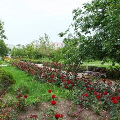 Гостиница Guest House on Ulitsa Tolstogo в Анапе отзывы, цены и фото номеров - забронировать гостиницу Guest House on Ulitsa Tolstogo онлайн Анапа