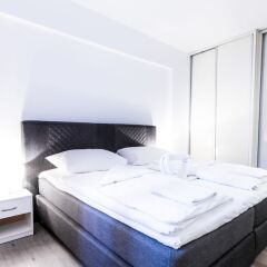 Апартаменты Grand Apartment Vienna комната для гостей фото 4