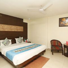 Отель OYO 1824 Hotel Grand Peepal Индия, Нью-Дели - отзывы, цены и фото номеров - забронировать отель OYO 1824 Hotel Grand Peepal онлайн комната для гостей фото 4