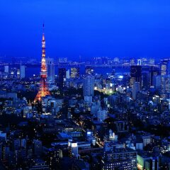 Отель The Ritz Carlton Tokyo Токио фото 6