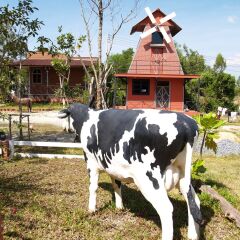 Отель Cowboy Farm Resort Pattaya фитнесс-зал