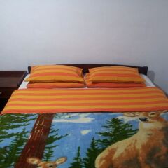 Andrews Hostel интерьер отеля