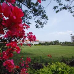 Отель Xiamen C&D Hotel Китай, Сямынь - отзывы, цены и фото номеров - забронировать отель Xiamen C&D Hotel онлайн фото 6