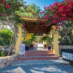 Ibiza Rocks House At Pikes Hotel фото 7