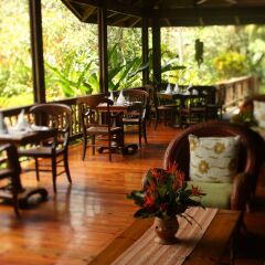 Отель The Lodge at Pico Bonito питание фото 2