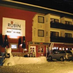 Hotel Rubin спортивное сооружение