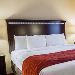 Отель Comfort Inn & Suites Maingate South комната для гостей фото 5