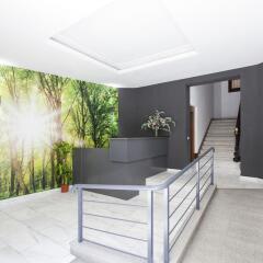 Отель Aspasios Calle Mayor Apartments Испания, Мадрид - отзывы, цены и фото номеров - забронировать отель Aspasios Calle Mayor Apartments онлайн фитнесс-зал