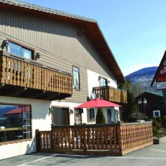 Отель Chalet Continental Motel фото 2