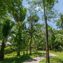Отель The Pool Villas By Peace Resort Samui Таиланд, Самуи - отзывы, цены и фото номеров - забронировать отель The Pool Villas By Peace Resort Samui онлайн фото 3