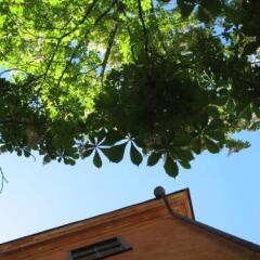 Castanea Old Town Hostel фото 13