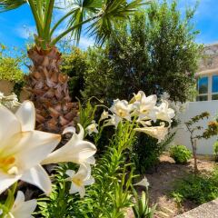 Hotel Mathios Village фото 2