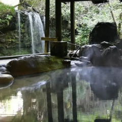 Отель Tairoukan Минамиогуни бассейн фото 3