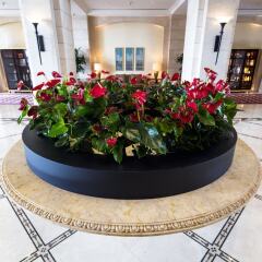 Отель Four Seasons Hotel Amman Иордания, Амман - отзывы, цены и фото номеров - забронировать отель Four Seasons Hotel Amman онлайн