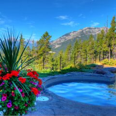 Отель Hidden Ridge Resort с домашними животными