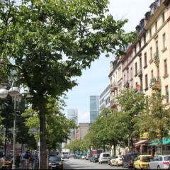 Отель Five Elements Hostel Frankfurt Германия, Франкфурт-на-Майне - отзывы, цены и фото номеров - забронировать отель Five Elements Hostel Frankfurt онлайн